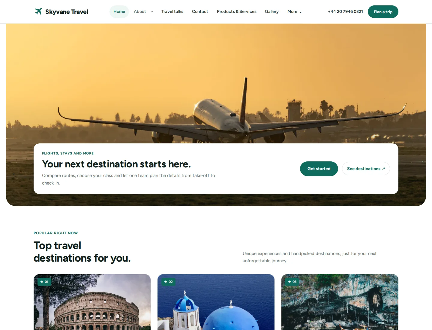 Airline Booking template preview. An example company site rendered with this template.