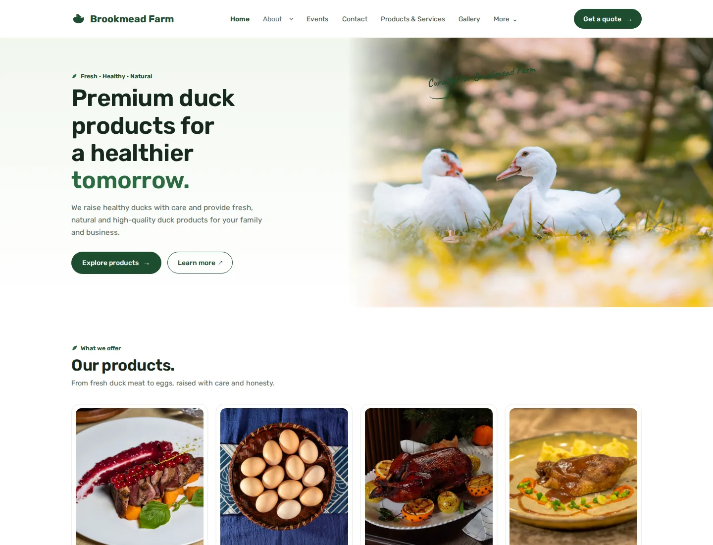 Duck Farm template preview. An example company site rendered with this template.