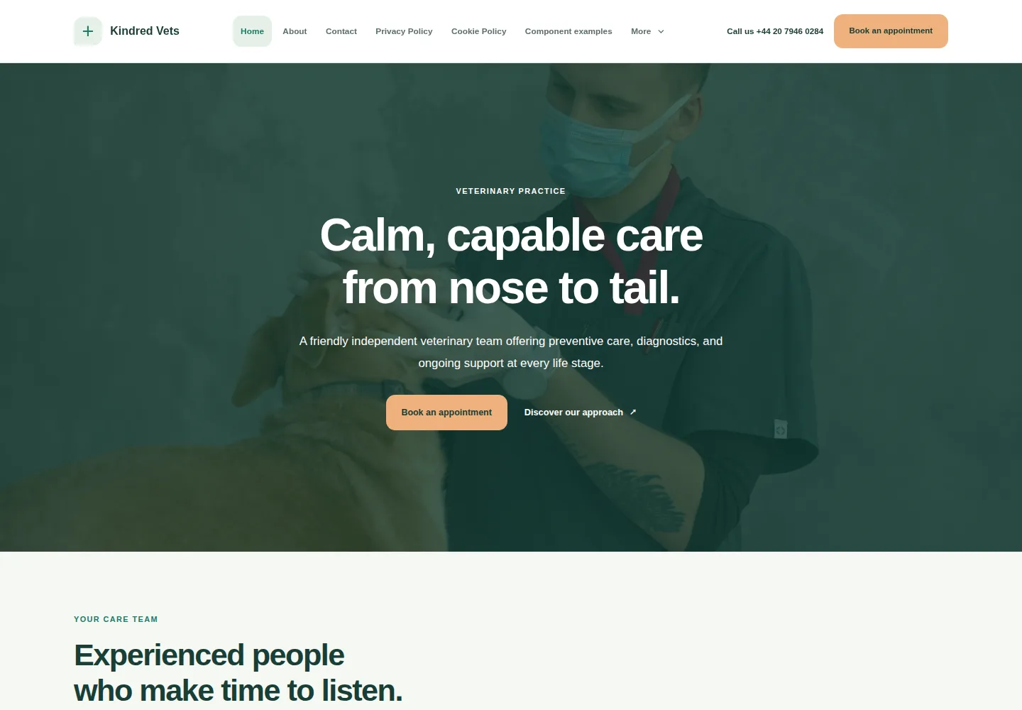 Veterinary Care template preview. An example company site rendered with this template.